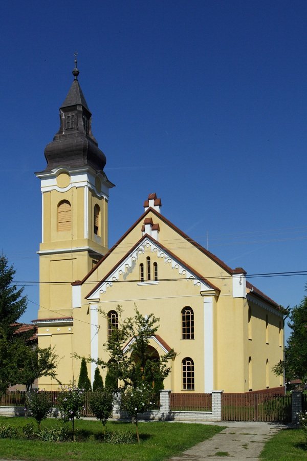 Tolnanémedi